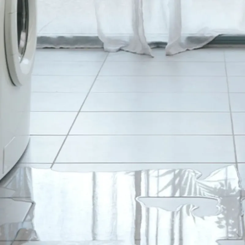 Appliance Leak Cleanup in Elkins, WV