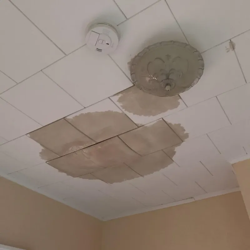 Ceiling Water Damage Repair in Elkins, WV