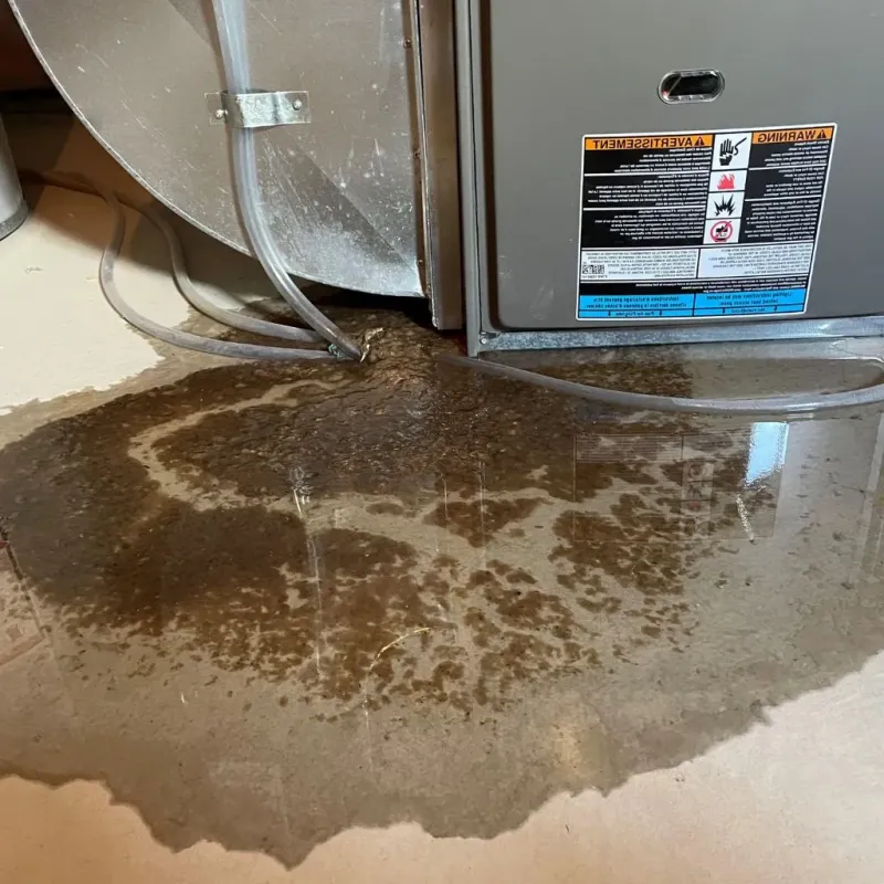 Pipe Burst and Leak Restoration in Elkins, WV