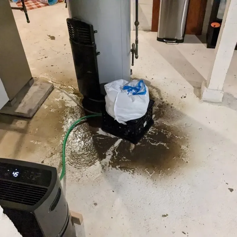 Sewage Backup Cleanup Service in Elkins, WV